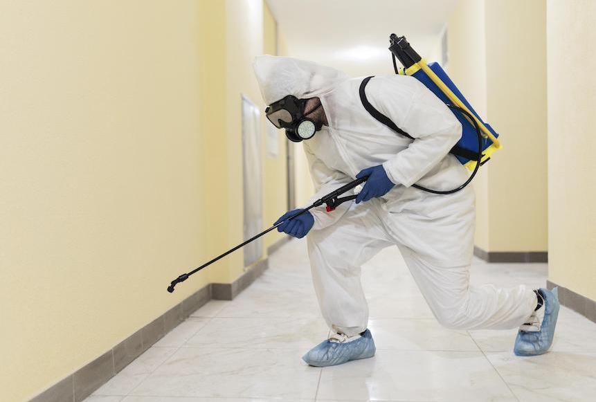 exterminator treating building interior